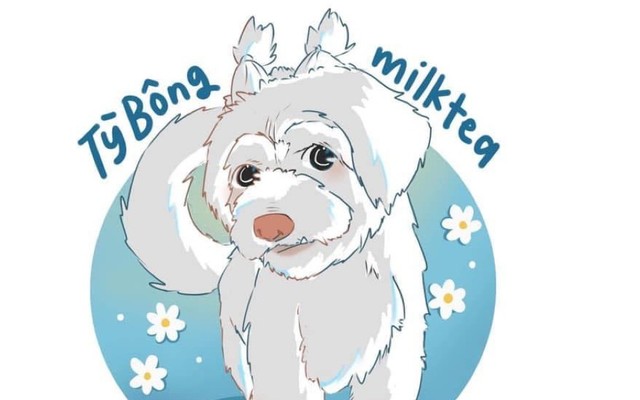 Tỳ Bông Tea - Nguyễn Văn Khối