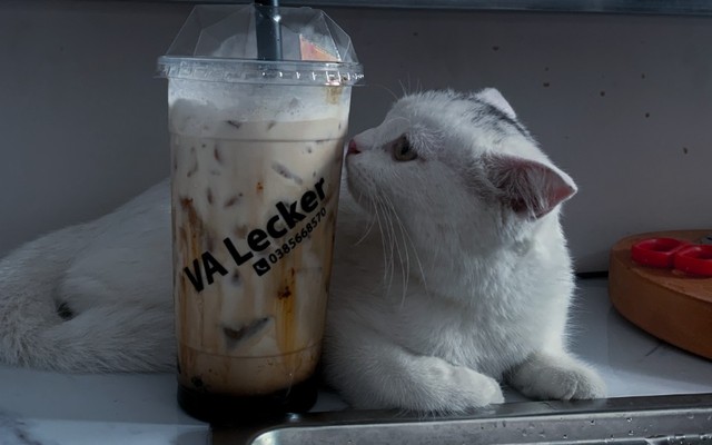 VA Lecker Coffee - Đường 30/4