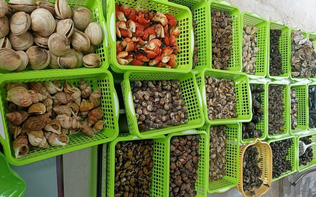 Vy Ốc Hải Sản - Hoàng Ngọc Phách