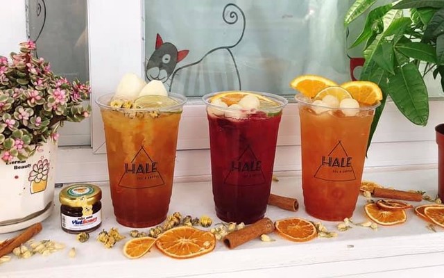 Tiệm Trà HALE - Phan Trung