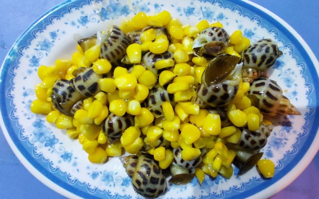 Ốc Sóc - Hải Sản & Ốc - D58 Khu Tái Thiết Hoàng Diệu