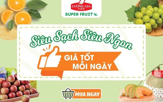 Super Fruit - Đường Số 12