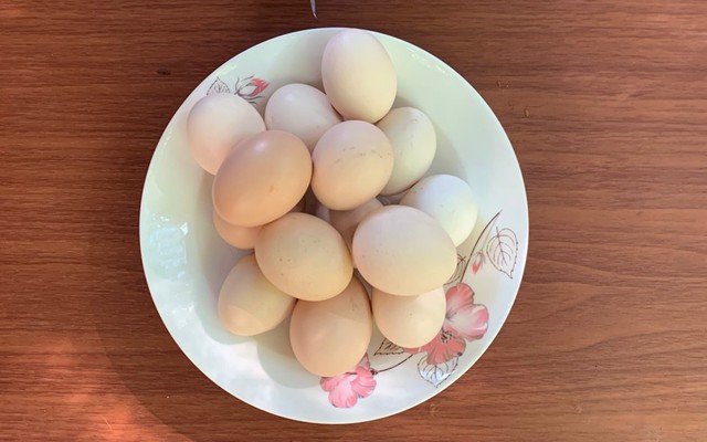 Thanh Tuyền - Trứng Gà Lòng Đào - Vi Ba