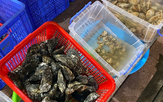 Ốc Phượng Sài Gòn - Quán Ốc Ngon