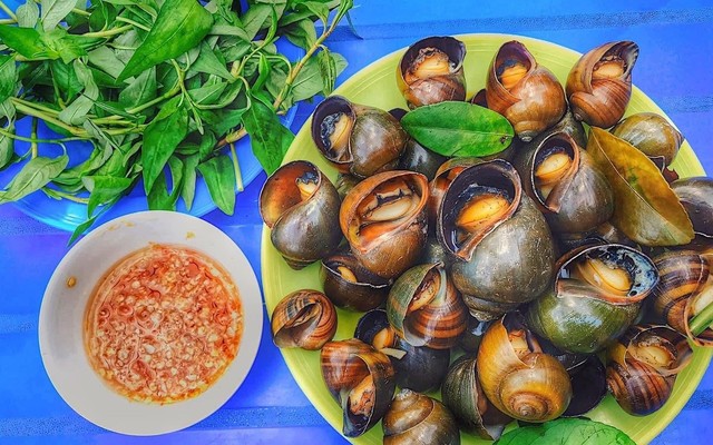 Ốc Ngọc Đồng - Phan Đình Phùng