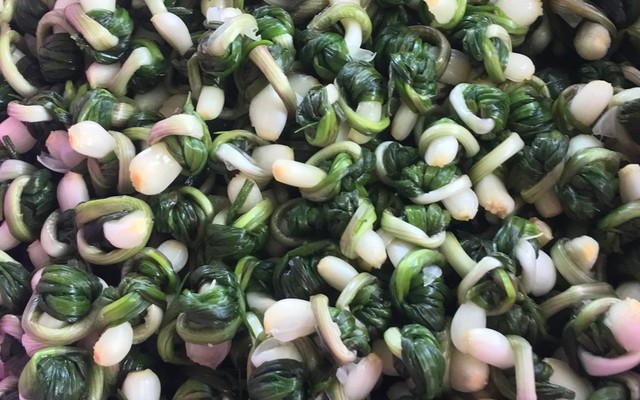 Gân Kiệu Nhất Huế - Thanh Hải