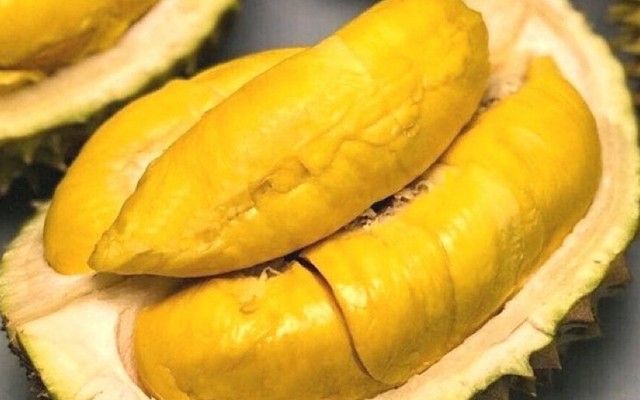 Sầu Riêng Sạch Cái Mơn - Cách Mạng Tháng 8