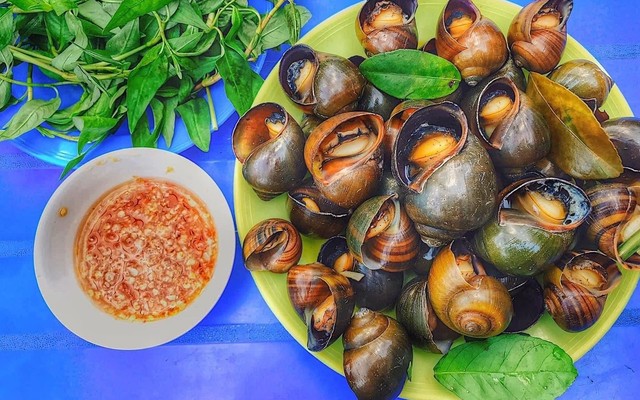 Quán Ốc & Trứng Lộn Xóm Nhà Lá - Yersin