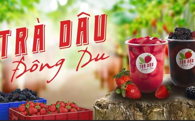 Trà Dâu Đông Du - Cô Giang