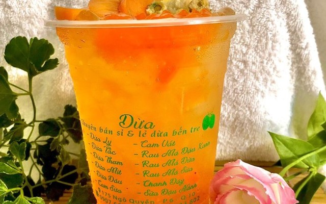Dừa Xiêm Bến Tre -  Ngô Quyền