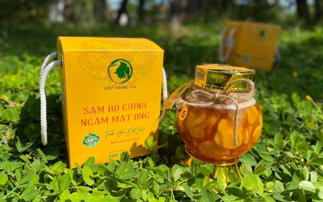 Sâm Bố Chính HOÀNG GIA - Hoàng Lanh