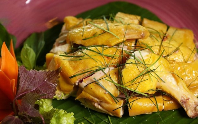 Gà Ta Hướng Dương - Cơm, Cháo & Gỏi Gà