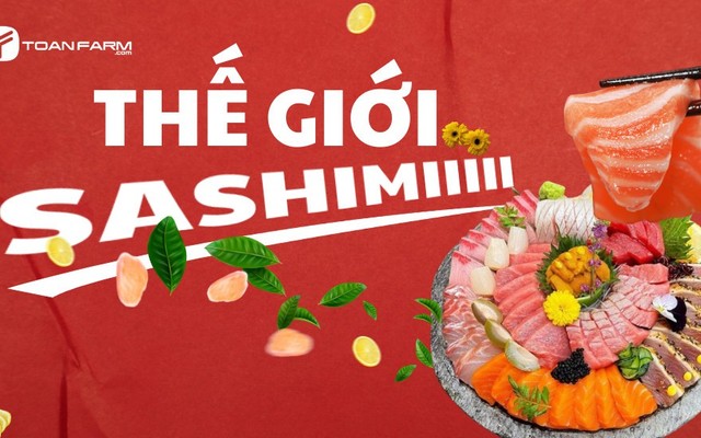 Sashimi Cá Hồi, Cá Trích & Món Nhật - Toàn Farm - Lương Ngọc Quyến