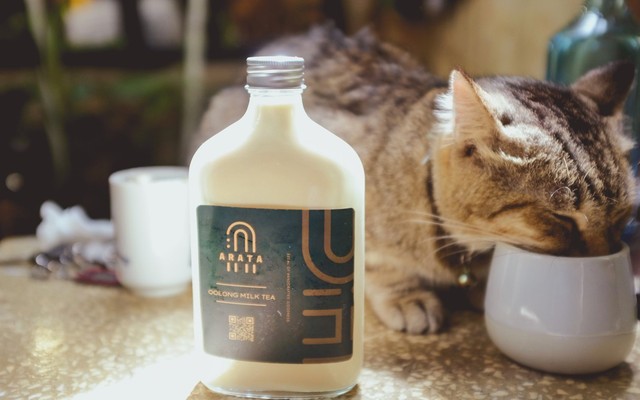 Arata Cold Brew - Cô Bắc