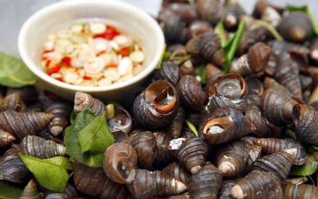 Ốc Cửa Bắc - KDV Cổng Đồng