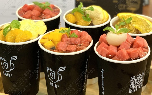 Umine - Trần Quang Diệu