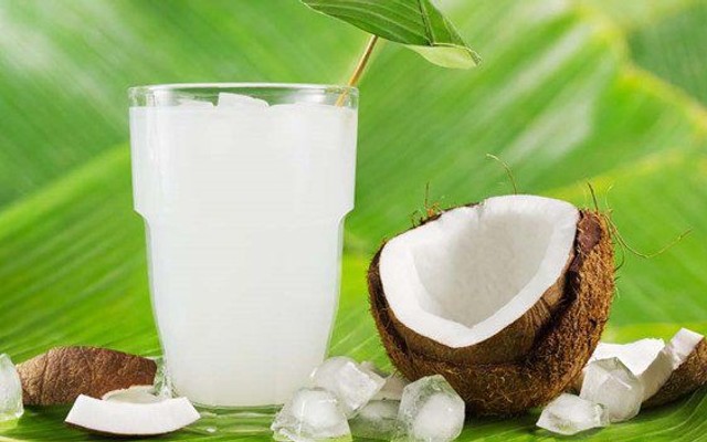 Dừa Sáp Chi Sally - Huỳnh Dân Sanh