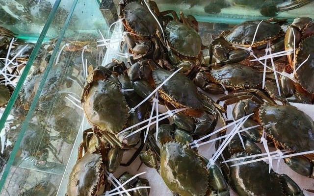 Vựa Cua Bảo Di - Lê Hồng Phong