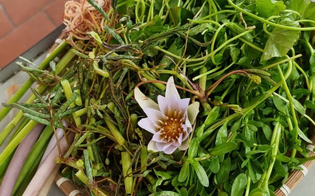 Lẩu Mắm Cây Dừa Hưng Phú - KDC Hưng Phú