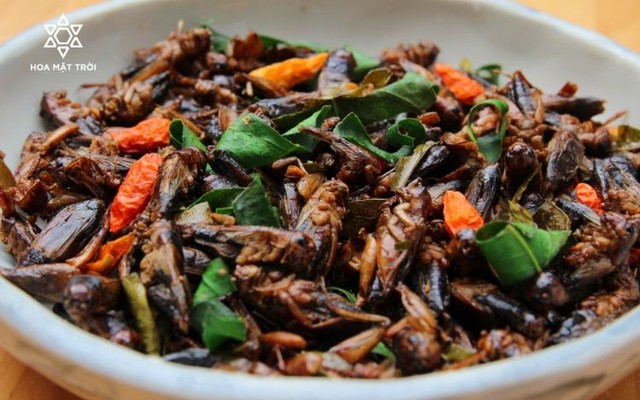 Hoa Mặt Trời Farm - Phan Chu Trinh