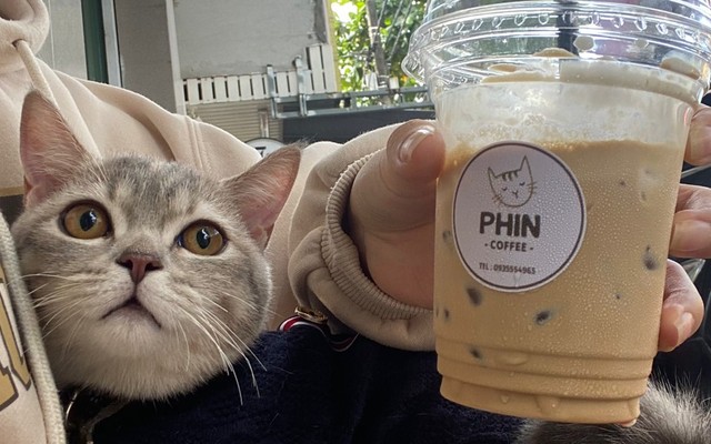 Phin Coffee - 249 Đống Đa