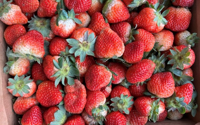 Ép Dâu Kiều - Trương Công Định