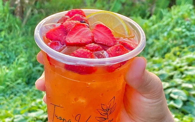 Tường Vi Milk Tea - Trà Sữa, Trà Trái Cây - Viba