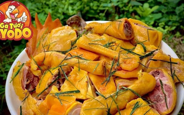 Đặc Sản Gà Đồi Tươi Ủ Muối Kyodo Food - 40 Trưng Nữ Vương