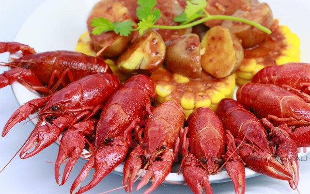 Haisancua.com Deli 183 - Lý Thánh Tông