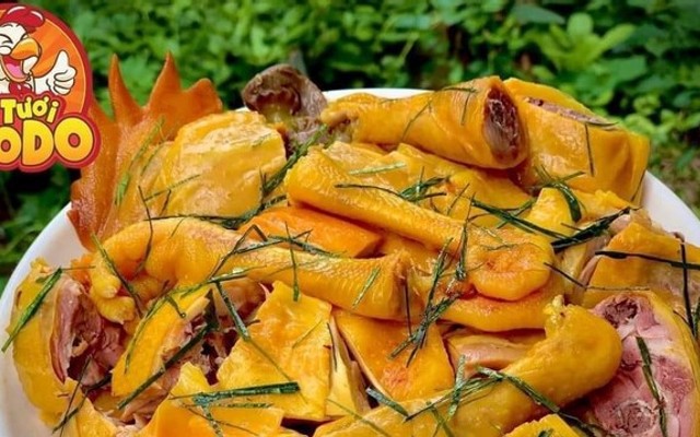 Đặc Sản Gà Đồi Tươi Ủ Muối Kyodo Food - 79 Âu Cơ