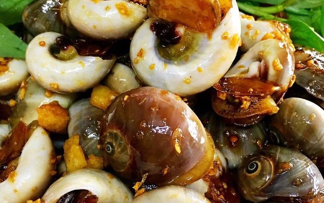 Ốc Anh Tân Phú - Hoà Bình