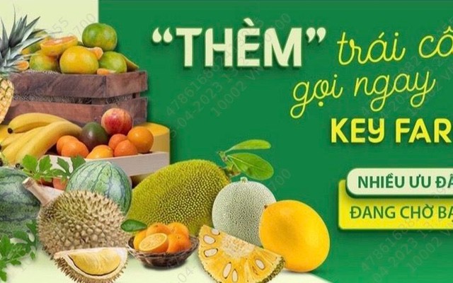 KEY FARM - Trái Cây - Bàu Cát 5