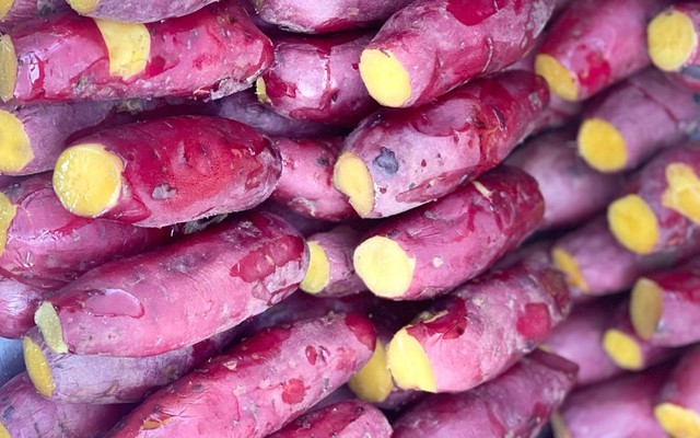 Khoai Lang Ben Ben - Khoai Lang Nấu Tại Chỗ - Dương Bá Trạc