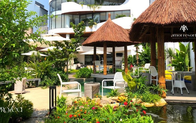 Cà Phê Protea Garden - Nguyễn Văn Đậu