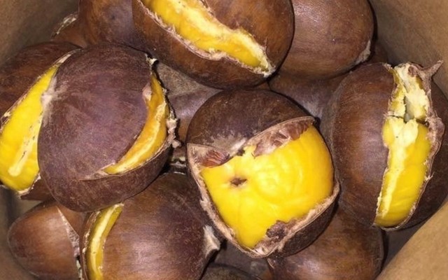 Hạt Dẻ Thảo Mập - Yên Phúc
