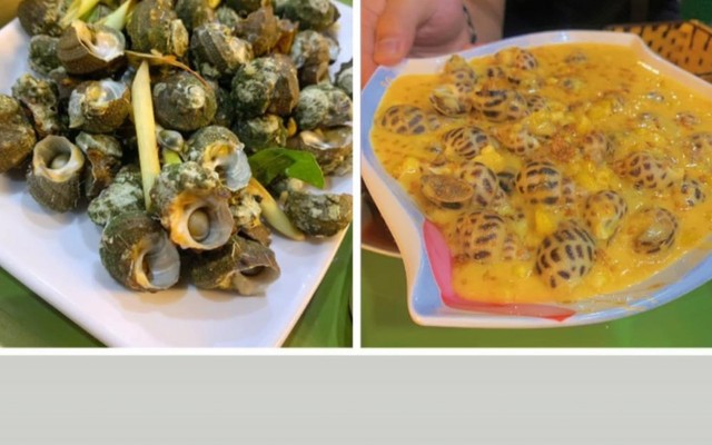 Ốc Nhà Voi - Tạ Quang Bửu