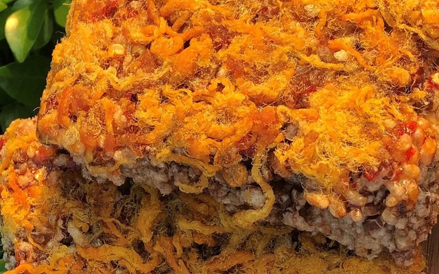 Cơm Cháy Nhà Gạo - Bánh Tráng & Đồ Ăn Vặt