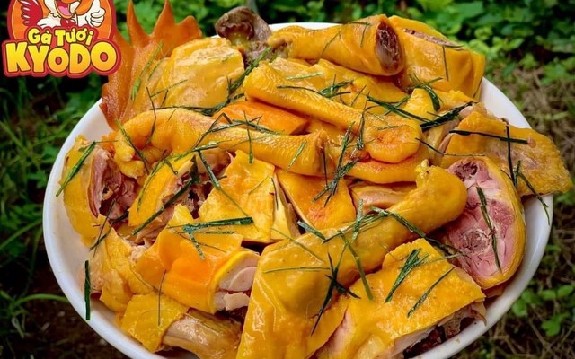 Đặc Sản Gà Đồi Tươi Ủ Muối Kyodo Food - 154 Ông Ích Đường