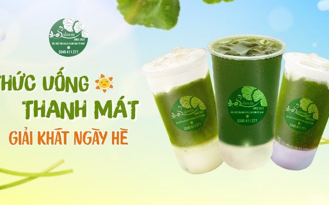 Rau Má Solawin - Đường Số 1