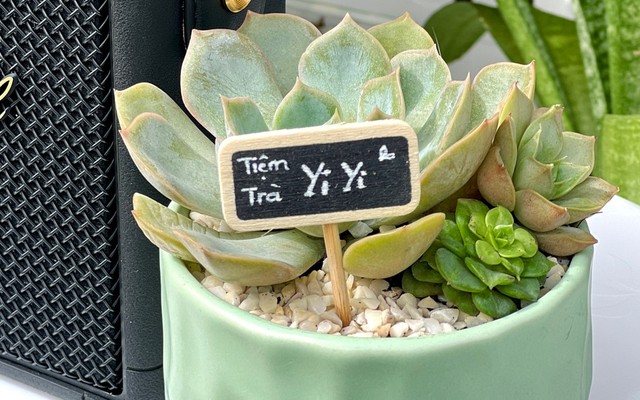 Tiệm Trà YiYi - Phạm Ngũ Lão