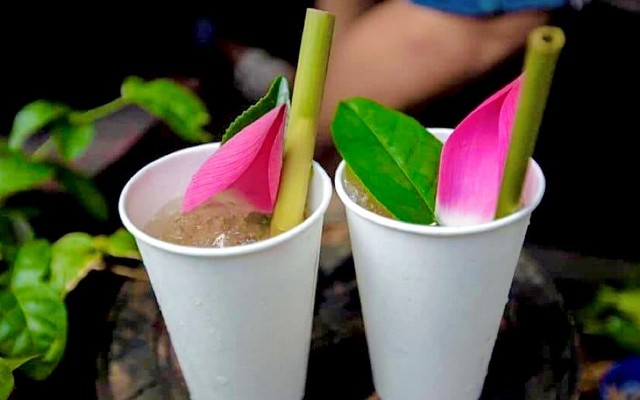 Trà Sen Chanh Đồng Tháp - Lạc Long Quân