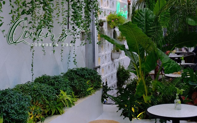 Quin's Coffee and Tea - Hòa Hưng