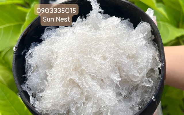 Yến Sun Nest - 193 Hoàng Văn Thụ