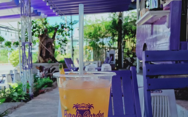 Purple Coffee - Võ Chí Công