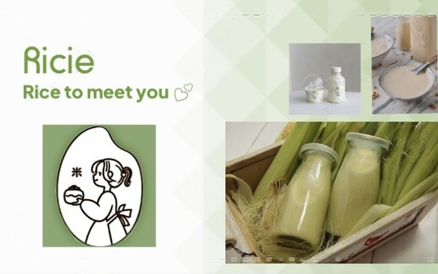 Ricie - Sữa Gạo & Chả Cá Hàn Quốc - Hồng Mai