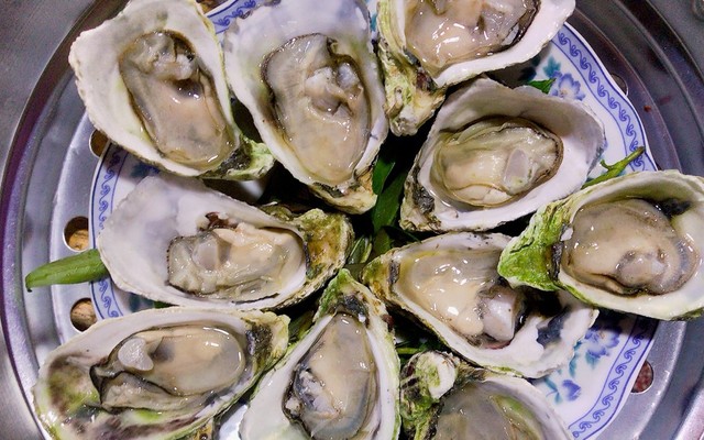 Hàu 1697 - Huỳnh Tấn Phát