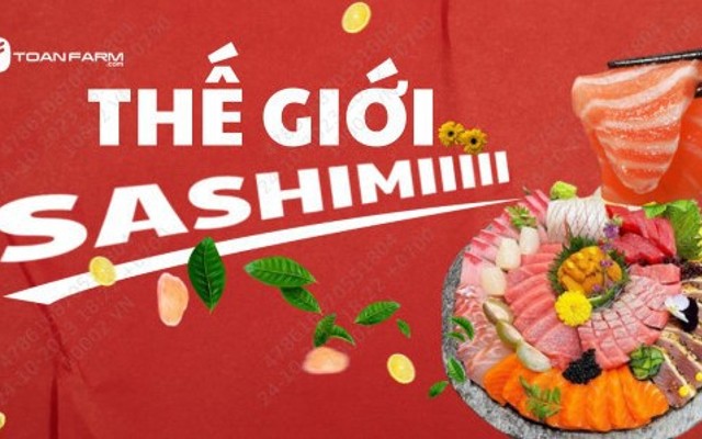 Sashimi Cá Hồi, Cá Trích & Món Nhật - Toàn Farm - Đặng Dung