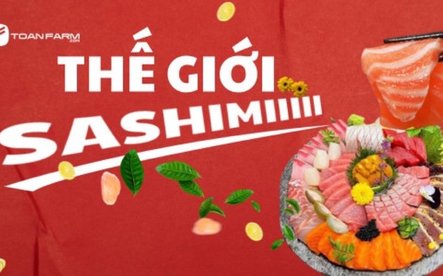 Sashimi Cá Hồi, Cá Trích & Món Nhật - Toàn Farm - Lê Tấn Trung