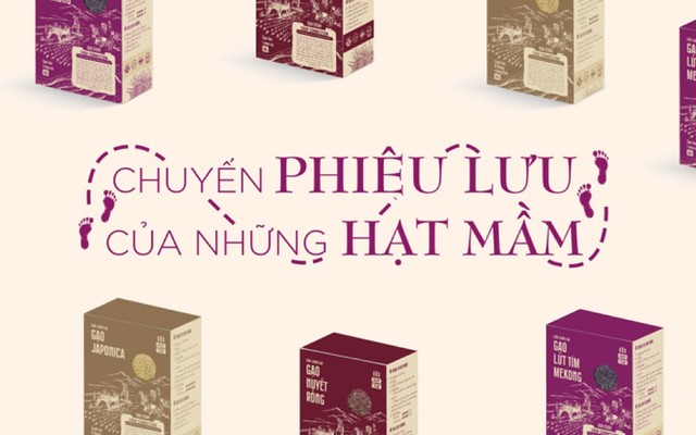 Crop Connection - Gạo & Nông Sản - Thảo Điền