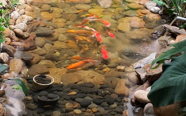 AI Coffee - 335 Lê Văn Hiến